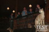 2016_Templin_El-Dorado-Nacht_078.jpg
